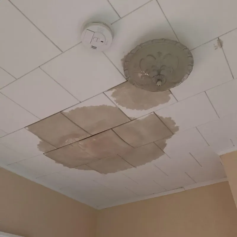 Ceiling Water Damage Repair in Gardendale, TX