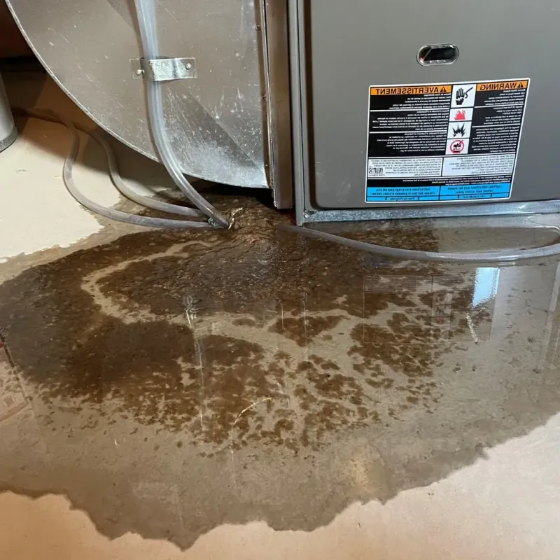 Pipe Burst and Leak Restoration in Gardendale, TX