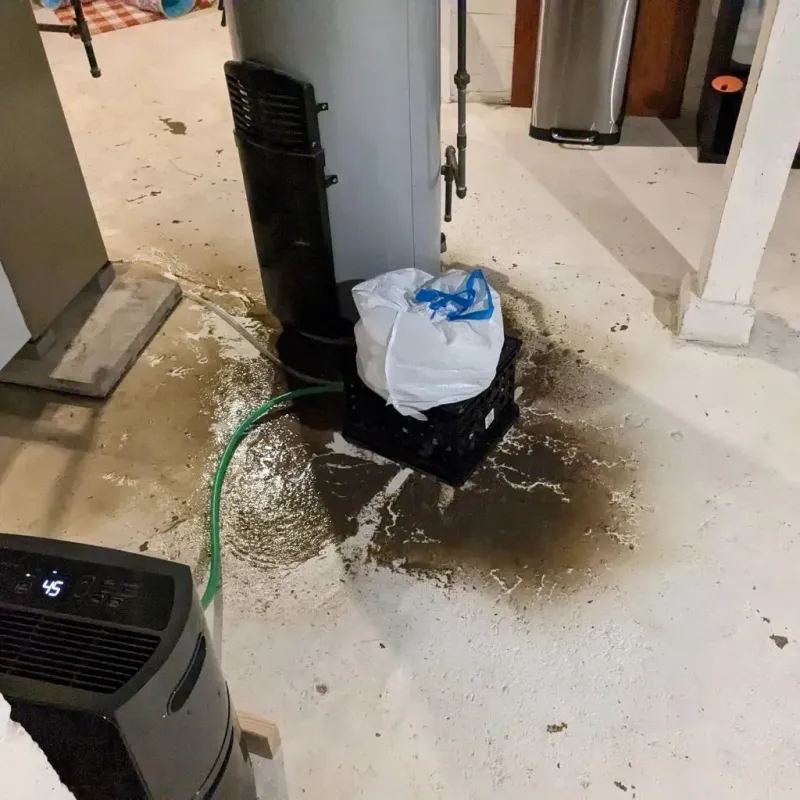 Sewage Backup Cleanup Service in Gardendale, TX